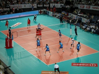 File:Volley-ball.jpg