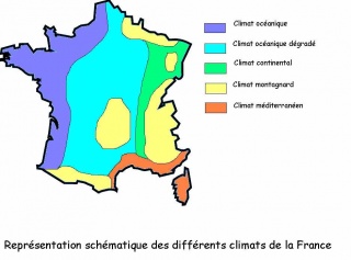 File:Cartecent.jpg