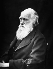 File:Charles Darwin.jpg