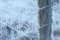 Thumbnail for version as of 21:44, 21 January 2012