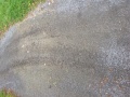 Thumbnail for version as of 18:14, 17 October 2013