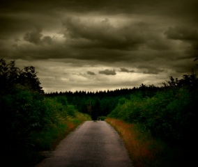 File:Chemin-3459.jpg