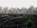 Thumbnail for version as of 23:39, 27 May 2010