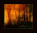 Thumbnail for version as of 10:49, 25 December 2011