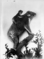 Thumbnail for version as of 16:51, 2 May 2013