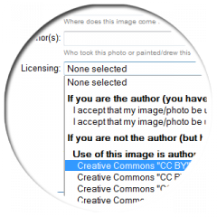File:Wikiministock (Wikistock)-upload form-licensing.png