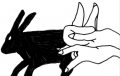 Thumbnail for version as of 12:20, 16 June 2015