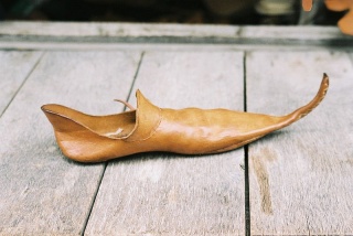 File:Poulaine-chaussure.jpg