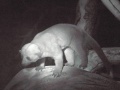 Thumbnail for version as of 11:26, 7 January 2014