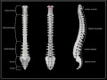 Thumbnail for version as of 08:54, 25 April 2014