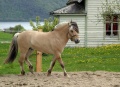 Thumbnail for version as of 07:56, 4 February 2012