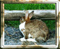 Thumbnail for version as of 19:19, 1 October 2008