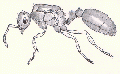 Thumbnail for version as of 22:56, 26 November 2009