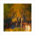 Thumbnail for version as of 16:36, 13 January 2012