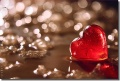 Thumbnail for version as of 14:06, 8 December 2010