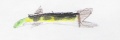 Thumbnail for version as of 13:57, 15 December 2008