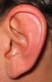 Thumbnail for version as of 19:55, 20 April 2012