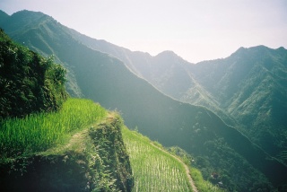 File:Rizières-6914.jpg