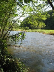 Rivière Yonne.jpg