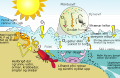 Thumbnail for version as of 08:53, 7 May 2013