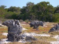 Thumbnail for version as of 08:54, 2 March 2012