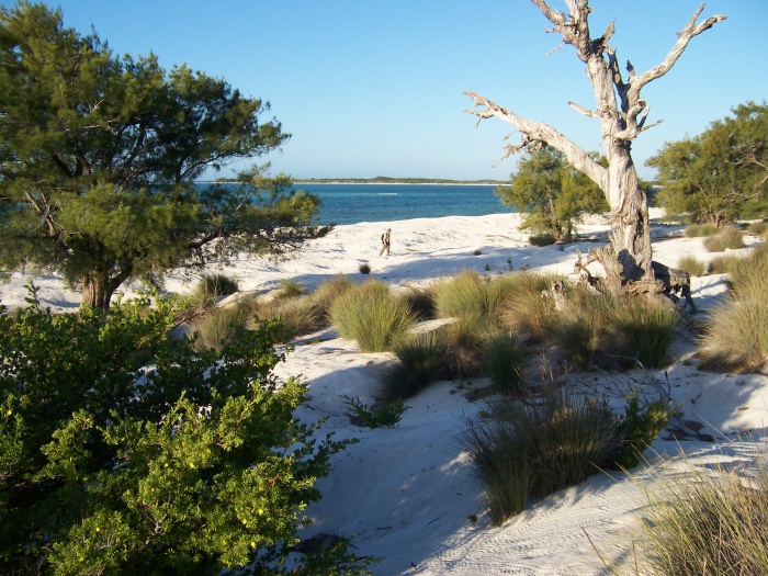 Dunes-Île-Europa.jpg