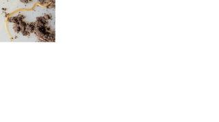 File:Géophile.png