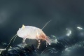 Thumbnail for version as of 10:04, 14 March 2013