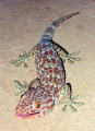 Thumbnail for version as of 09:10, 17 June 2014