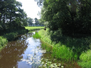 File:Ruisseau près de Haaksbergen (Pays-Bas).jpg