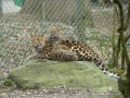 Thumbnail for version as of 09:16, 3 June 2010
