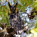 Thumbnail for version as of 07:05, 30 May 2011