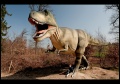 Thumbnail for version as of 14:17, 8 June 2012
