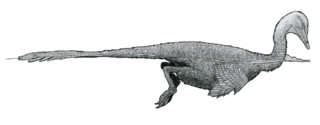 File:Halszkaraptor.png