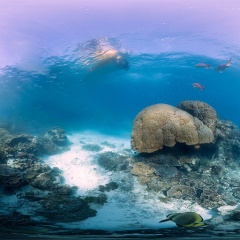 File:CAT-Seas and oceans.jpg