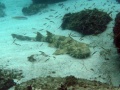 Thumbnail for version as of 14:19, 11 July 2014