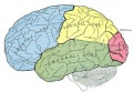 Thumbnail for version as of 07:34, 8 April 2014