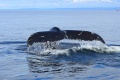 Thumbnail for version as of 16:19, 26 October 2009