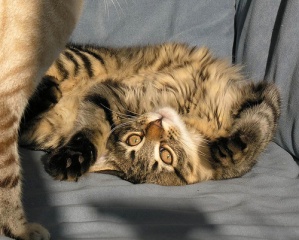 File:La Neska al sofa-3560.jpg