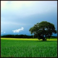 Thumbnail for version as of 18:09, 30 May 2011