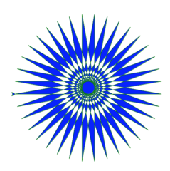 File:Example turtle etoile.png