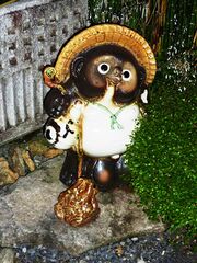 File:Tanuki.jpg