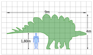 File:Stegosaurus size.png
