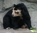 Thumbnail for version as of 17:46, 18 July 2010