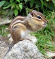 Thumbnail for version as of 21:29, 3 May 2010