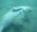 Thumbnail for version as of 23:00, 3 May 2010