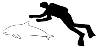 File:Vaquita.png