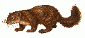 Thumbnail for version as of 23:52, 18 December 2013