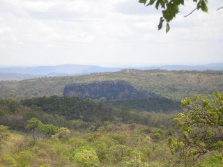 File:Cerrado Brésil.jpg