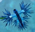 Thumbnail for version as of 13:56, 5 December 2009
